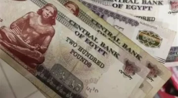 صرف المرتبات.. جدول مفصل لكافة الوزارات والهيئات في نوفمبر 2025